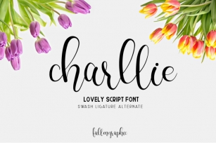 Charllie Lovely Script Font Font Download
