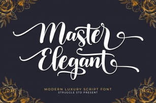 Master Elegant Font Download