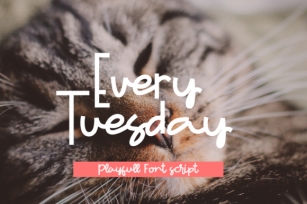 Every Tuesday Font Download