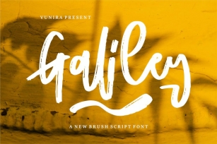 Galiley | A New Brush Script Font Font Download