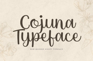 Cottage Baker Handwritten Serif Font Download