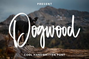 Web Dogwood Font Download