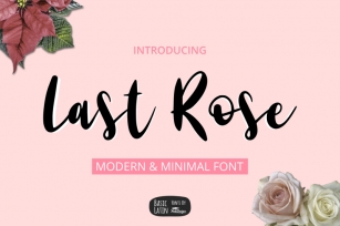 Last Rose Font Font Download