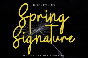 Spring Signature Font Download