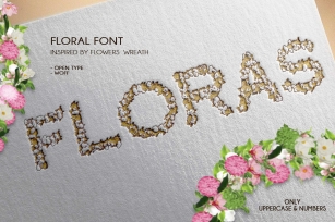 Floras Font Download