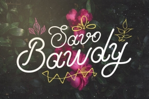 Savo Bawdy - Typeface Font Download