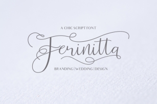 Ferinitta - Chic Calligraphy Font Download
