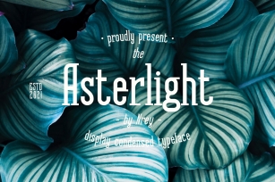 Sale! Asterlight typeface Font Download