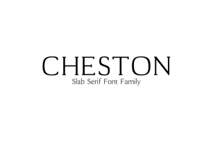 Cheston Slab Serif Font Family Font Download