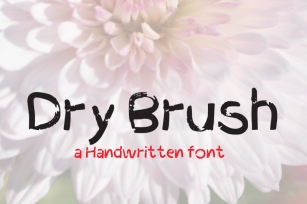 Dry Brush font Font Download