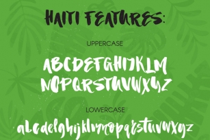 Haiti Organic Brush Font +Extras Font Download