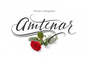 Amtenar Font Download