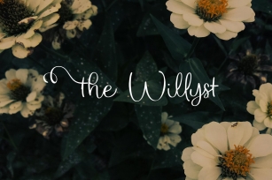 The Willyst Font Download