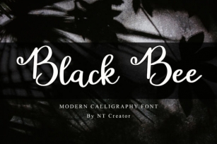 Black Bee Font Download