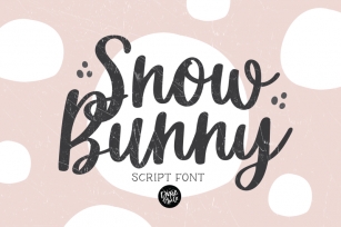 SNOW BUNNY Winter Script Font Font Download
