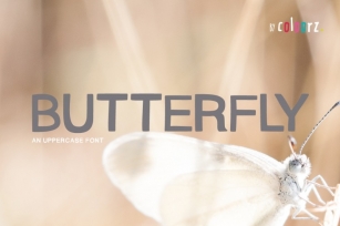 Butterfly Font Font Download