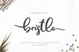 Bristle Font Script Font Download