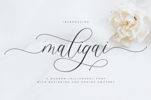 Maligai | Modern Calligraphy Font Download
