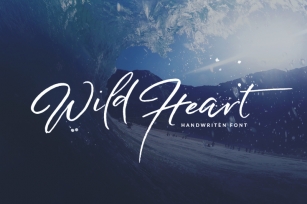 Wild Heart Brush Font Set Font Download