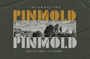 Pinmold - Modern Stencil Font Font Download
