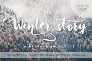 Winter Story Font Font Download