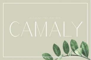 Camaly | sans serif Font Download