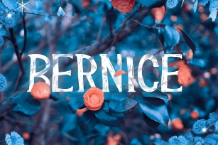 Bernice New Font Download
