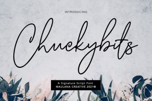 Chuckybits Fancy Signature Script Font Font Download