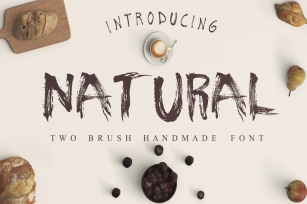 Natural 2  Font Font Download