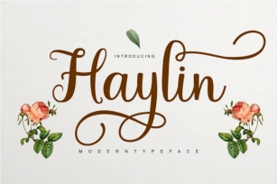 Haylin Script Font Download