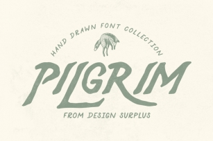 Pilgrim Font Collection (3 Fonts) Font Download