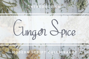 Ginger Spice Font Download