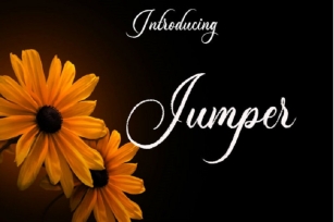 Jumper Font Font Download
