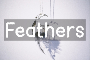 feather Font Download