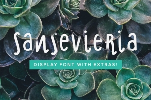 Sansevieria Display Font + Extras Font Download