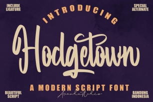 Hodgetown - Modern Script Font Font Download