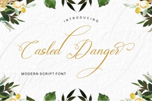 Casled Danger Script Font Download
