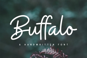 Buffalo Font Font Download