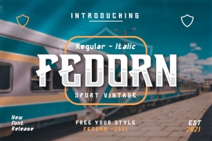 Fedorn Modern Classy Font Font Download