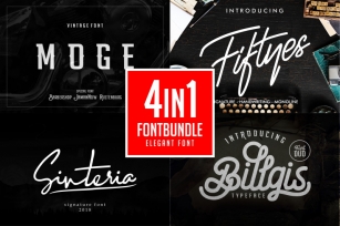 Font Bundle 4in1 Font Download