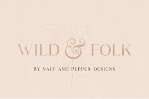 Wild & Folk Serif Font Font Download