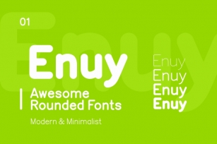 Enuy Font Sans Serif Font Download
