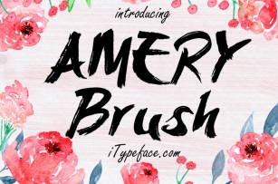 Amery Brush Font Font Download