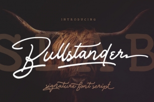 Bullstander Font Set Font Download