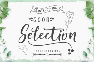 Good Selection Font Duo & Extras Font Download