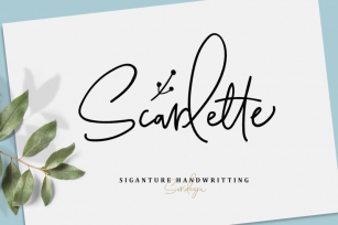 Scarlette Script (+Doodle Font) Font Download