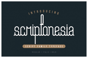 Scriptonesia Font Family Font Download