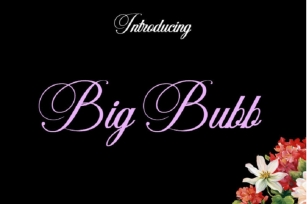 BigBubb Font Font Download