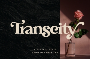 Transcity - A Playful Serif Font Download