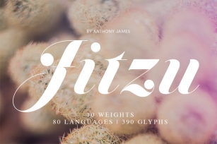 Jitzu | Font Family Font Download